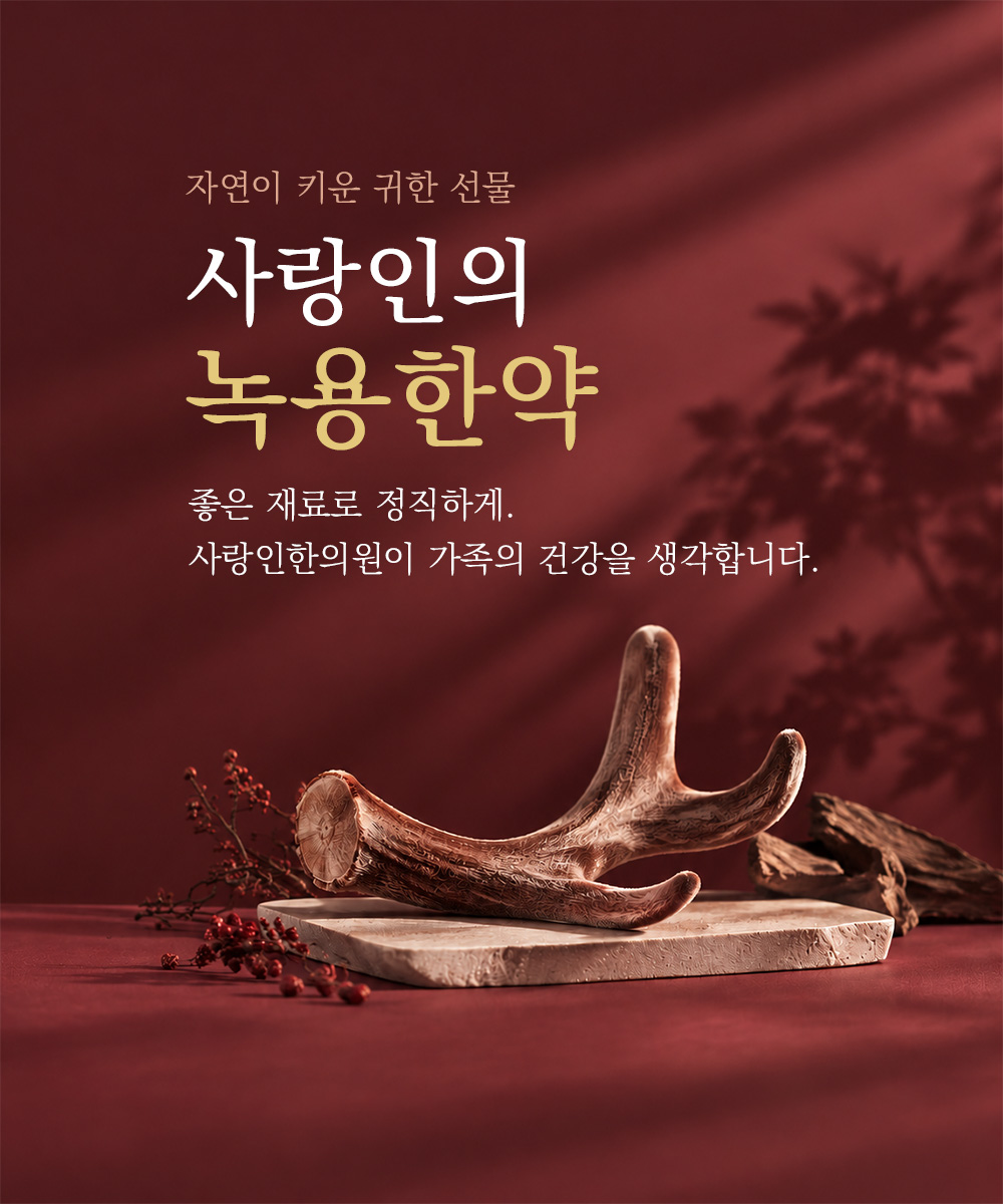 녹용한약
